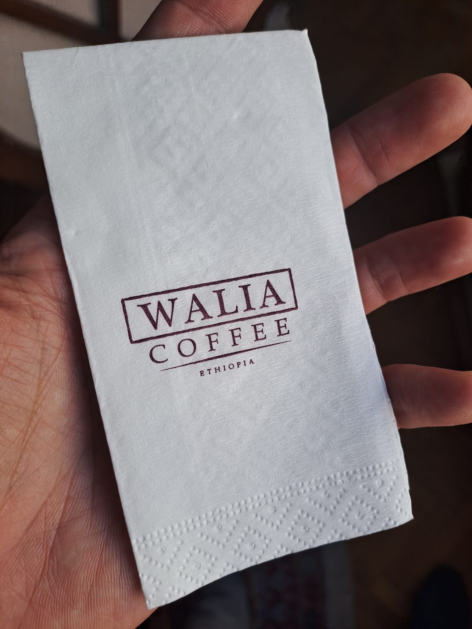 izmir baskılı peçete 25 cm lik